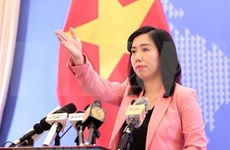 Vietnam sigue trabajando para garantizar derechos humanos, afirma portavoz de Cancillería