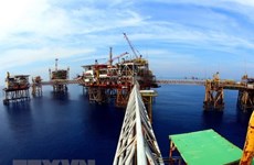 Explotación petrolera de Vietnam en 11 meses de 2018 sobrecumplió metas trazadas