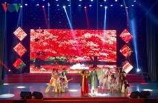 Celebran festival de performances artísticos para extranjeros en ciudad vietnamita