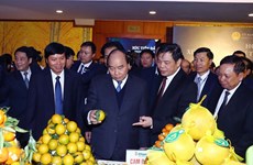 Premier de Vietnam insta a provincia norteña a convertirse en fuerza motriz para desarrollo regional