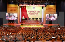 Asociación de Agricultores de Vietnam por elevar eficiencia de sus actividades