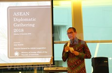Indonesia actualiza a diplomáticos sobre progreso de la ASEAN 