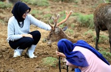 Indonesia fija meta de convertirse en mejor destino mundial de turismo halal