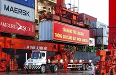 Puerto de provincia vietnamita alcanza tasa récord de carga de mercancías 
