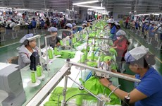 Productos exportables de Vietnam gozarán de oportunidades en 2019