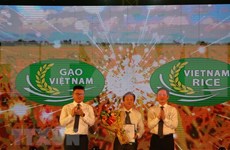 Celebran tercera edición del Festival de Arroz de Vietnam
