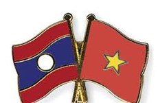 Fomentan cooperación entre Comités de Paz y Solidaridad de Vietnam y Laos