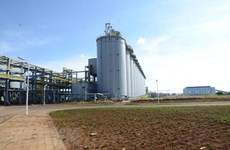 Fábrica de alúmina en provincia altiplana vietnamita logra nivel de producción planificado