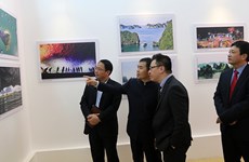 Exponen en Hanoi obras de pintores chinos 