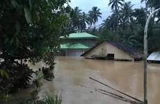 Asciende a 68 la cifra de muertos por el paso de la tormenta Usman en Filipinas