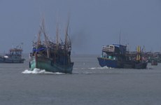 Rescatan a decenas de marineros vietnamitas accidentados en el mar