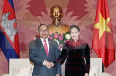 Vietnam y Camboya trabajan para fortalecer lazos bilaterales