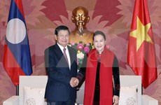 Parlamento vietnamita reafirma respaldo a cooperación intergubernamental con Laos