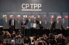 Empresas vietnamitas listas a aprovechar CPTPP