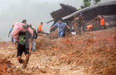 Al menos 32 muertos en Indonesia por deslizamiento de tierra 