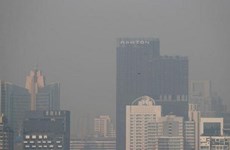 Capital de Tailandia cubierta por niebla tóxica 