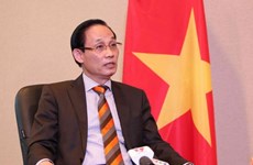 Aprecia comunidad internacional esfuerzos de Vietnam para proteger derechos humanos 