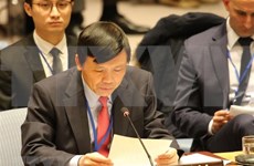 Llama Vietnam a impulsar consulta sobre vinculación entre cambio climático y seguridad 