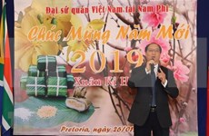 Celebran vietnamitas en África fiestas del Nuevo Año Lunar