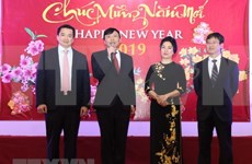 Celebran vietnamitas en el exterior el  Año Nuevo Lunar