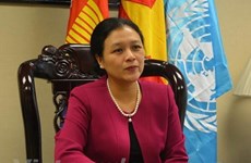 Vietnam consolidará la diplomacia del pueblo