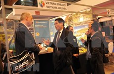 Promociona Vietnam potencialidades turísticas en Bélgica 
