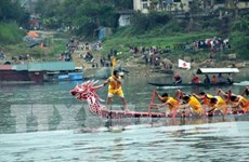 Efectúan en Vietnam regatas tradicionales de barcos en celebración del Tet