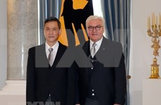 Embajador vietnamita presenta cartas credenciales al presidente de Alemania
