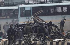Expresa Vietnam solidadridad con la India por ataque terrorista 