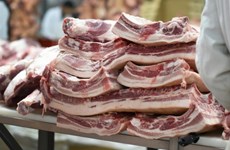 Perspectivas de exportación de carne de cerdo de Vietnam 