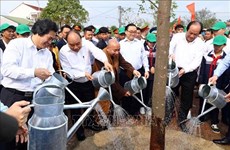 Estimula primer ministro de Vietnam plantación de árboles  
