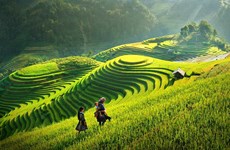 Publica el Banco Mundial su “Informe de la valoración del turismo de Vietnam”