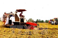 Promueven producción y consumo agropecuario de Vietnam