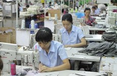 Promueve Vietnam la igualdad de género en empresas nacionales