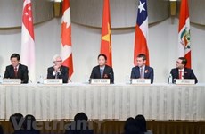 Acelera Vietnam implementación del Acuerdo Transpacífico