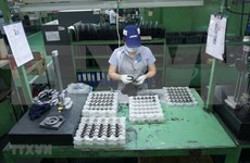 Buscan empresas de Vietnam aprovechar oportunidades del CPTPP
