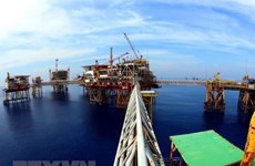 Empresa petrolera Vietsovpetro recibe primer flujo de crudo de yacimiento Ca Tam