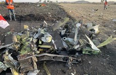 Ofrece Indonesia asistencia para  investigación sobre accidente aéreo en Etiopía