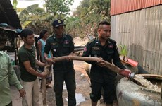 Ayuda Tailandia a Camboya ante fuerte sequía