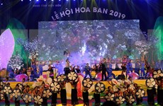 Inauguran festival de la flor de bauhinia en provincia vietnamita de Dien Bien  