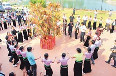 Presentará Vietnam expedientes a la UNESCO para reconocimiento de Patrimonios Culturales Intangibles
