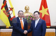 Trazan Vietnam y Brunéi medidas para robustecer relaciones bilaterales 