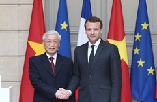 Destacan parlamentarios franceses avances en las relaciones entre su país y Vietnam