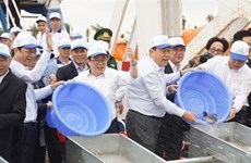 Realiza Vietnam esfuerzos para reproducir especies acuáticas en golfo de Tonkín