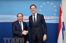 Planean Vietnam y Países Bajos establecer asociación integral