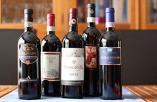 Planea Italia ampliar exportación de vino al mercado vietnamita