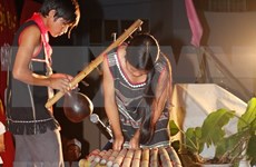Presentarán en Vietnam instrumentos musicales de etnias nacionales en jornada cultural   