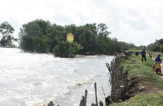 Aplican provincias en Delta del Mekong medidas contra el cambio climático