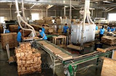 Considera Vietnam medidas antidumping en importaciones madereras de Tailandia y Malasia