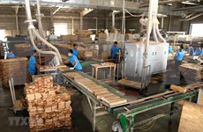Exportación de productos madereros de Vietnam aumenta 18 por ciento